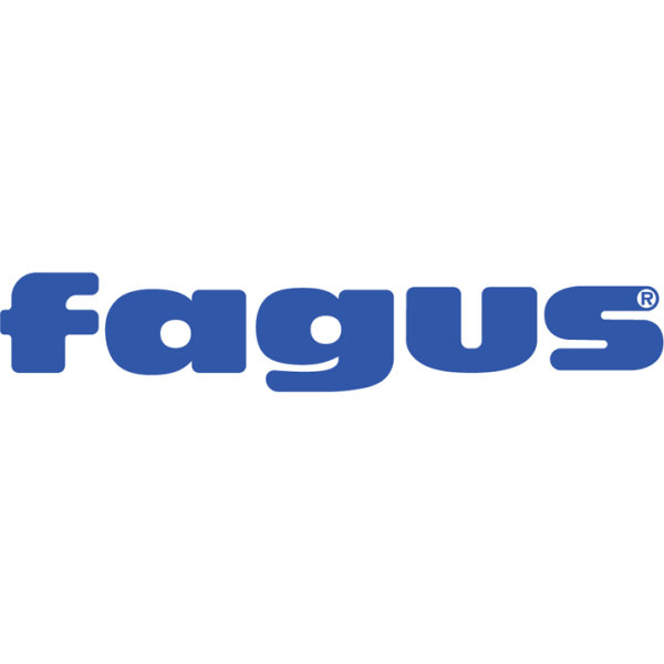 fagus2